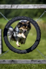 Foto #19 van Camping Olachgut