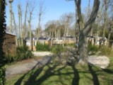 Foto #5 van Camping Renéville