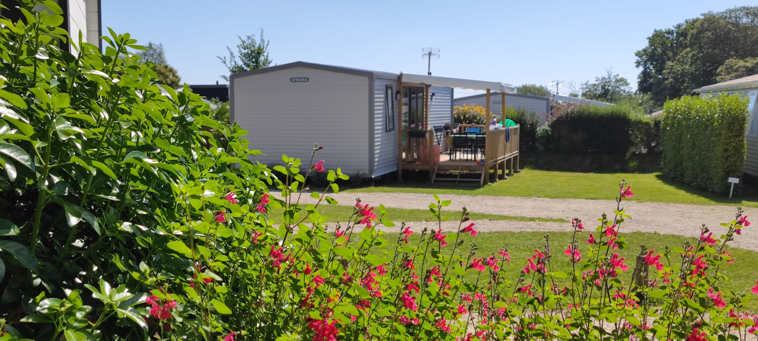 Camping de Kersentic — Photo 4