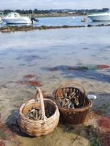 Foto #47 van Camping de Kersentic