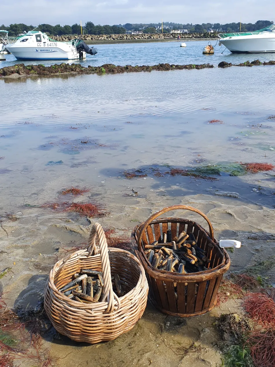 Camping de Kersentic