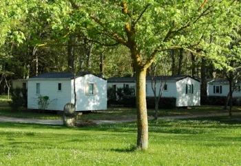 Huuraccommodatie(s) - Stacaravan Standard 19M² 2 Slaapkamers - Half-Schaduwrijk Terras - Flower Camping Saint Lambert