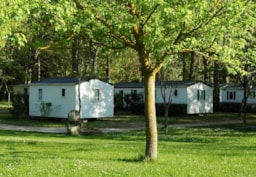 Mietunterkunft - Mobilheim Standard 19M² 2 Zimmer - Halbüberdachte Terrasse - Flower Camping Saint Lambert