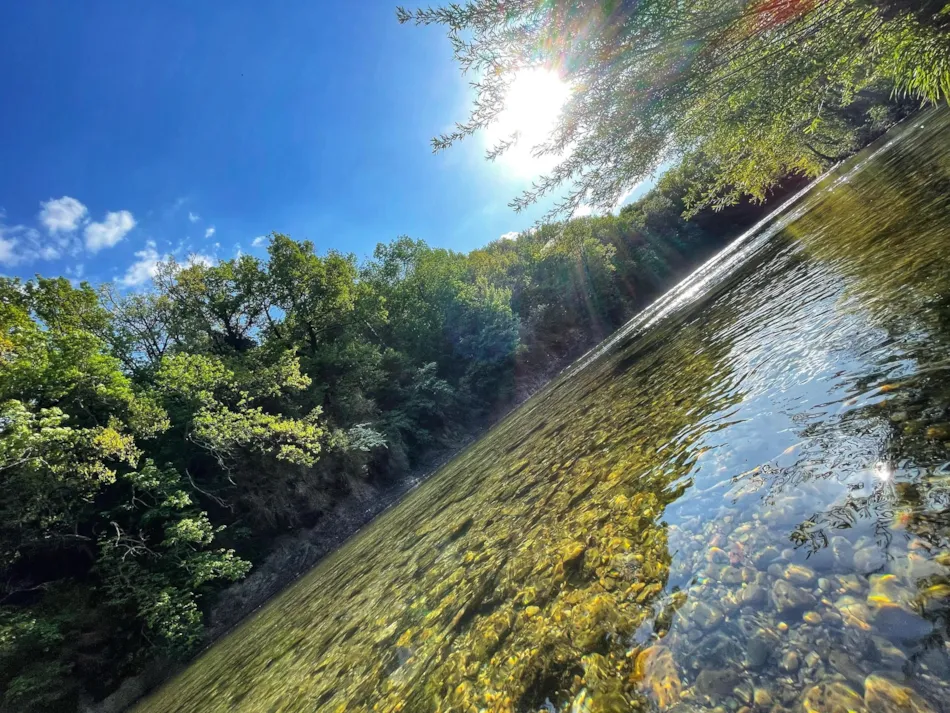 Flower Camping Saint Lambert