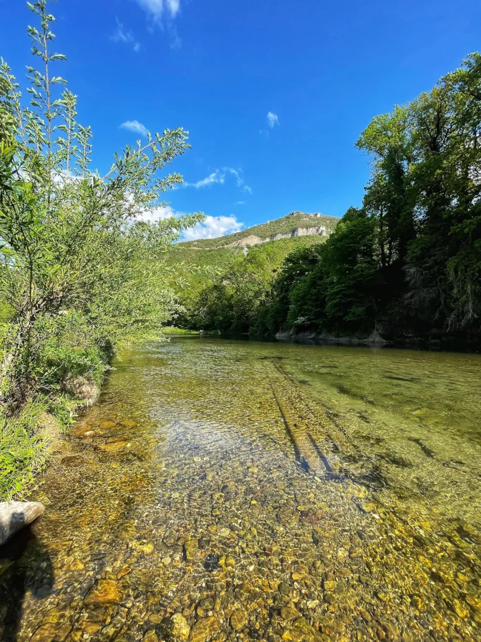 Flower Camping Saint Lambert