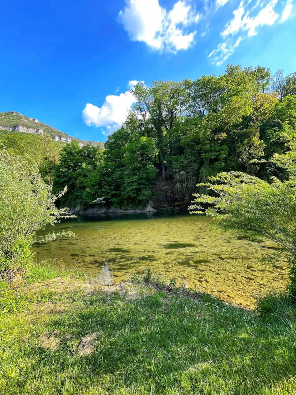 Flower Camping Saint Lambert