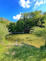 Foto #10 van Flower Camping Saint Lambert