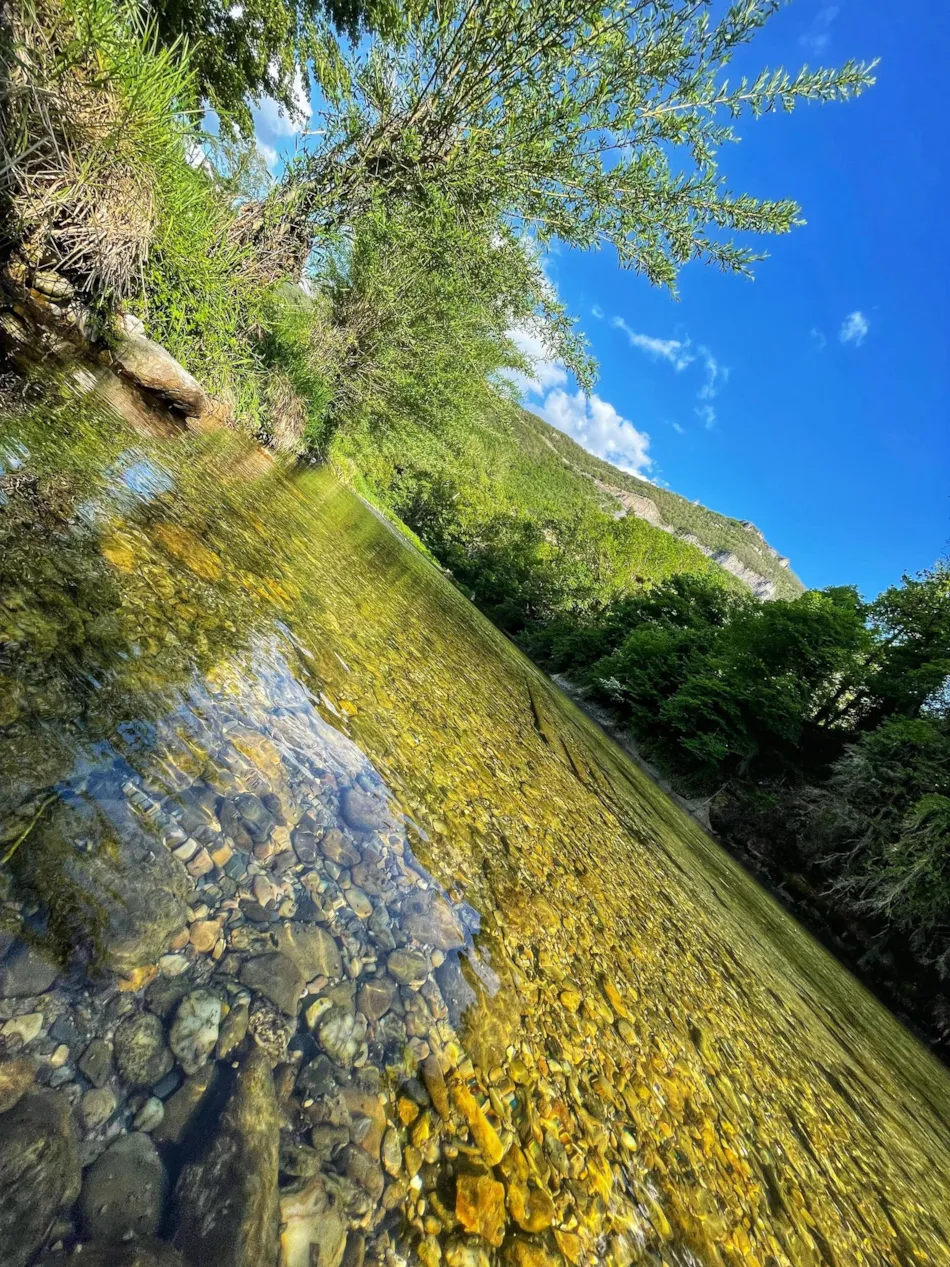 Flower Camping Saint Lambert
