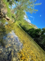 Foto #11 van Flower Camping Saint Lambert