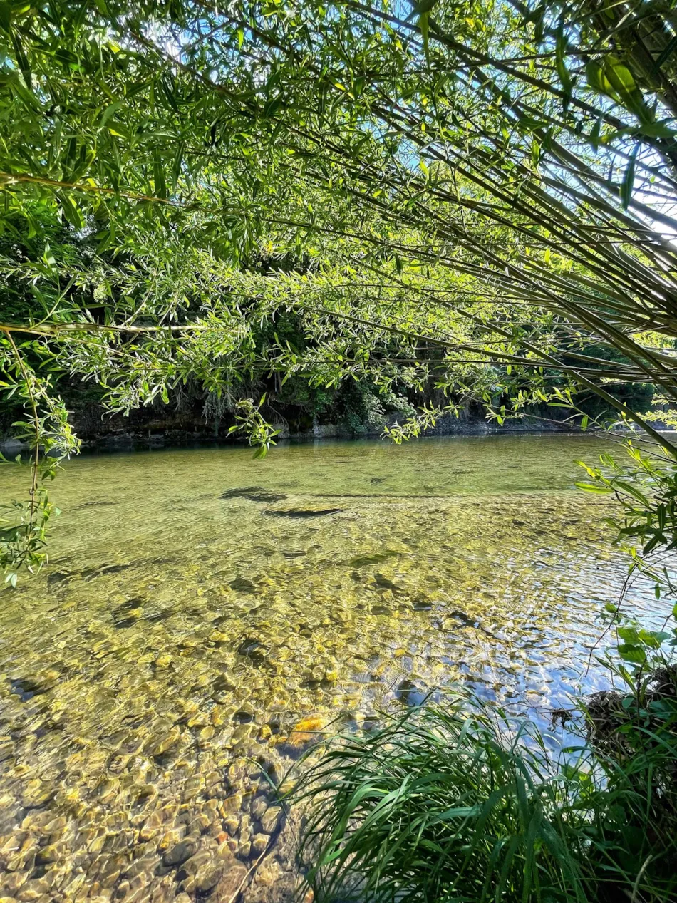 Flower Camping Saint Lambert