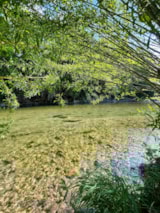 Foto #12 van Flower Camping Saint Lambert