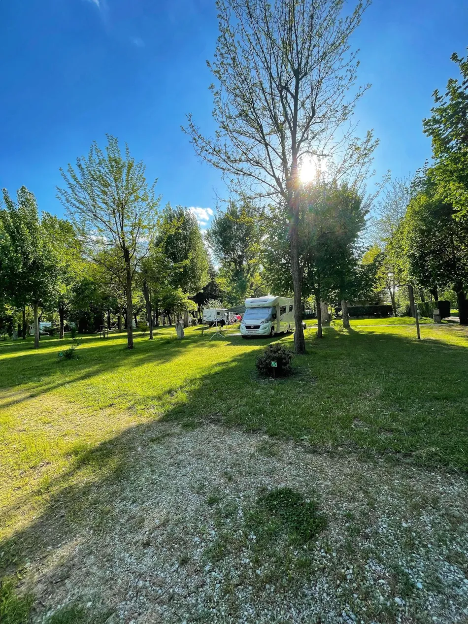 Flower Camping Saint Lambert