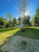 Foto #3 van Flower Camping Saint Lambert