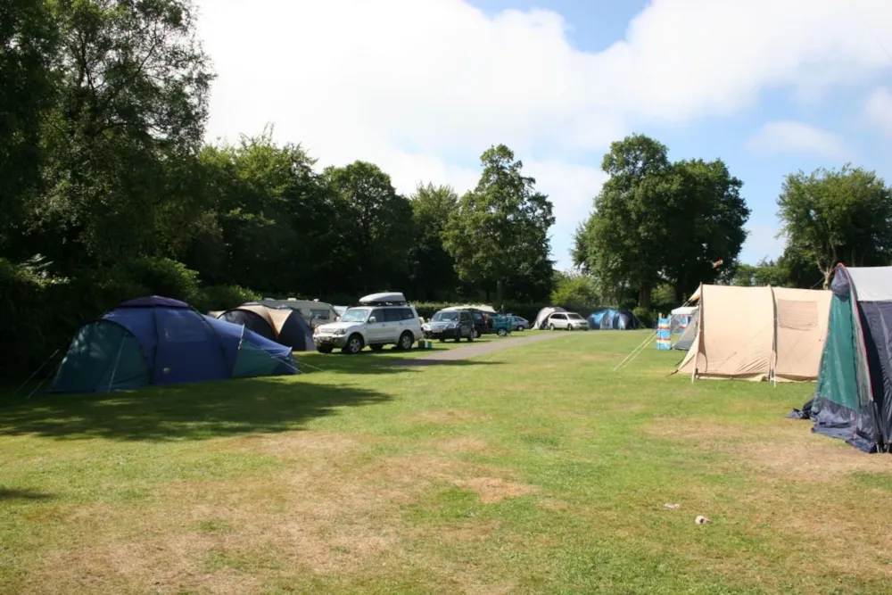 Emplacement - Emplacement Avec Gazon - Forest Glade Holiday Park