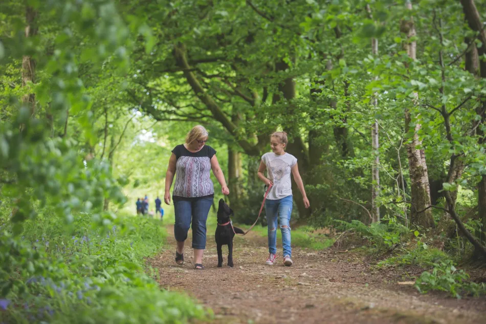 Forest Glade Holiday Park