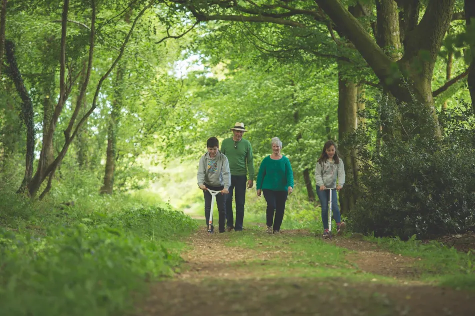 Forest Glade Holiday Park
