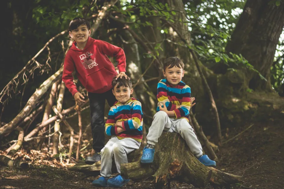 Forest Glade Holiday Park