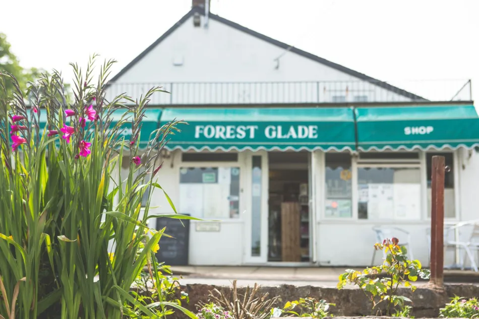 Forest Glade Holiday Park