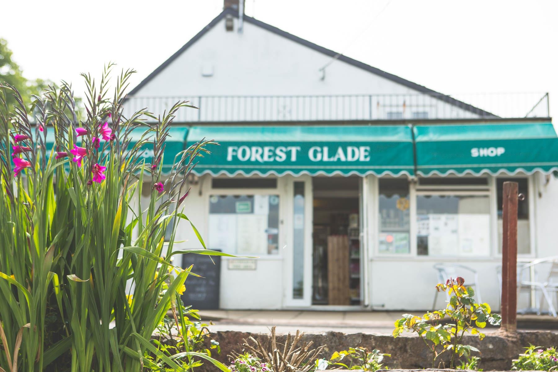 Forest Glade Holiday Park — Foto 6