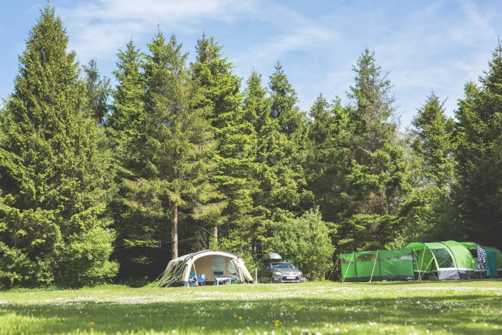 Forest Glade Holiday Park - image n°1 - MyCamping