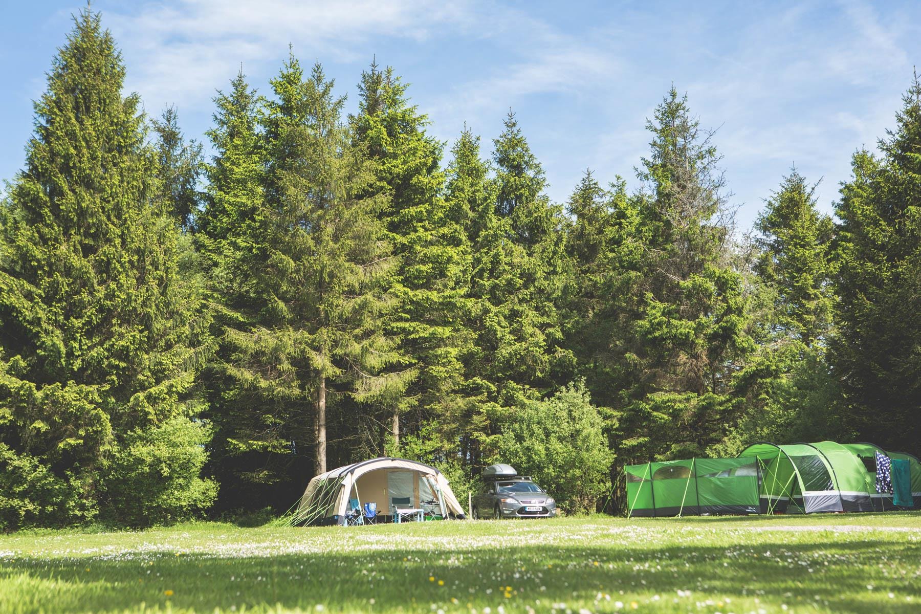 Forest Glade Holiday Park — Foto 1