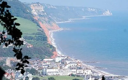 Forest Glade Holiday Park - image n°11 - UniversalBooking