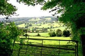 Forest Glade Holiday Park - image n°13 - UniversalBooking