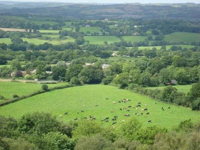 Forest Glade Holiday Park - image n°32 - UniversalBooking