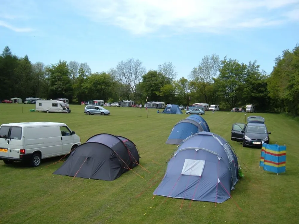 Emplacement - Emplacement Sans Électricité - Forest Glade Holiday Park