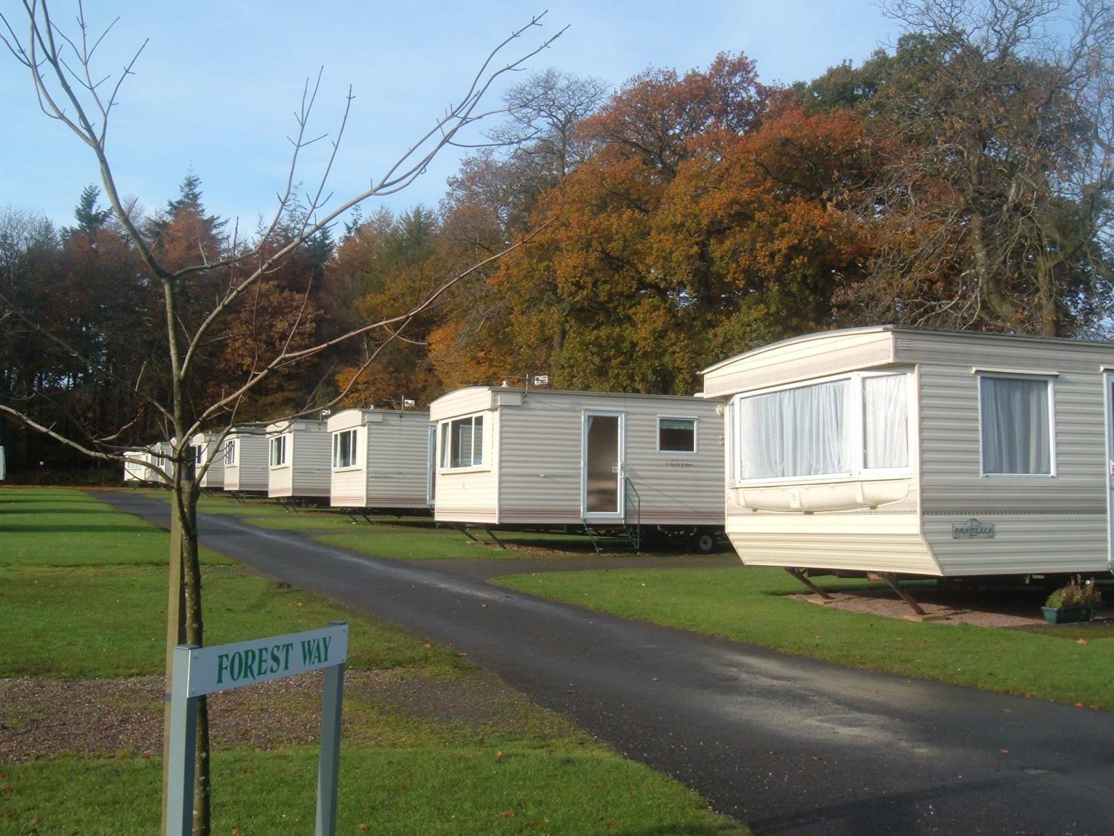 Accommodation - Holiday Caravan Blackdown - Forest Glade Holiday Park