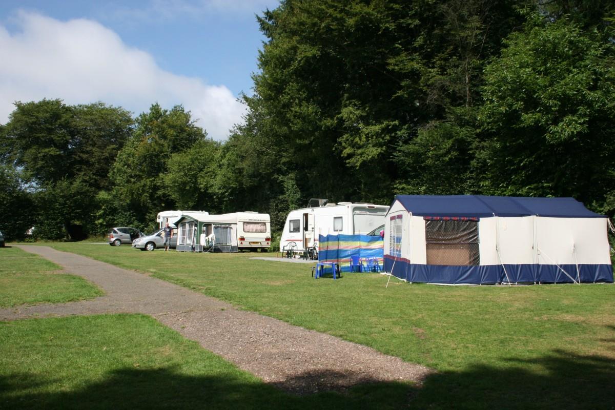 Emplacement - Emplacement Basic - Gravier - Forest Glade Holiday Park