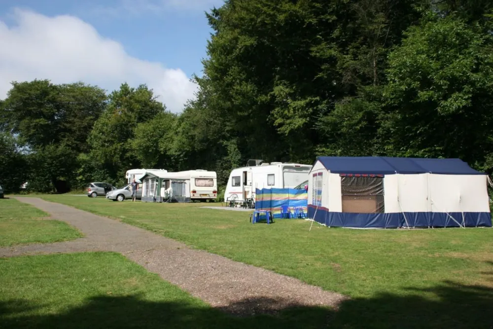 Emplacement - Emplacement Basic - Gravier - Forest Glade Holiday Park