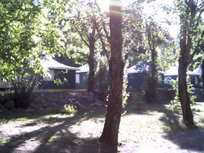 Bengali (2 bedrooms)