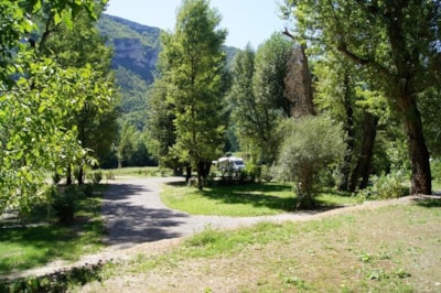 PACKAGE PITCH CONFORT- Tent(s) / caravan + 1 car (or 1 motorhome), electricity 10 A