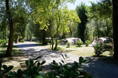 PACKAGE PITCH CONFORT- Tent(s) / caravan + 1 car (or 1 motorhome), electricity 10 A