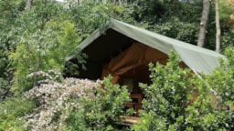 Location - Tente Lodge Safari - Camping LA MUSE