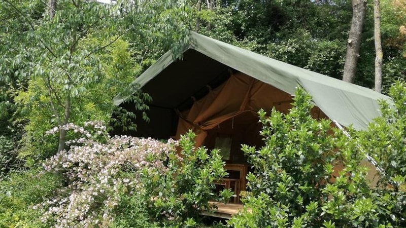 Tente lodge Safari