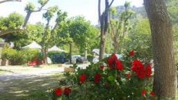 Piazzole - Piazzola - Camping LA MUSE