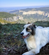 Foto #35 van Camping Le Taranis (anciennement La Resclauze)