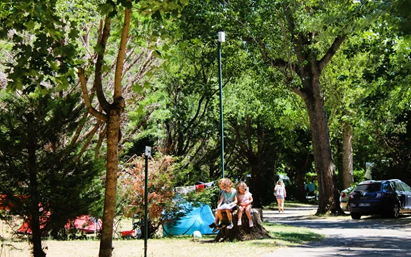 Emplacement Nature 1 Tente/ Caravane + 1 Voiture + Électricité Ou Camping-Car + Électricité