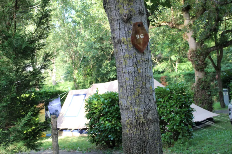 Emplacement Nature 1 Tente/ Caravane + 1 Voiture + Électricité Ou Camping-Car + Électricité
