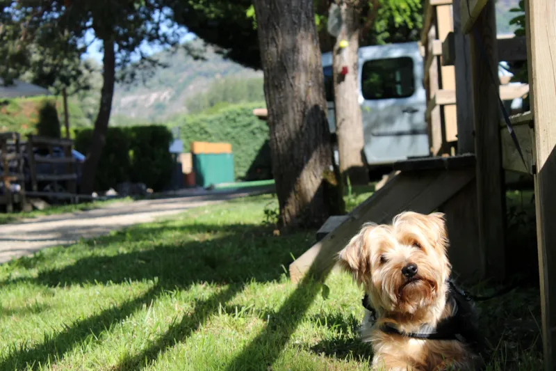 Mobil Home Confort 21M² - 2 Chambres