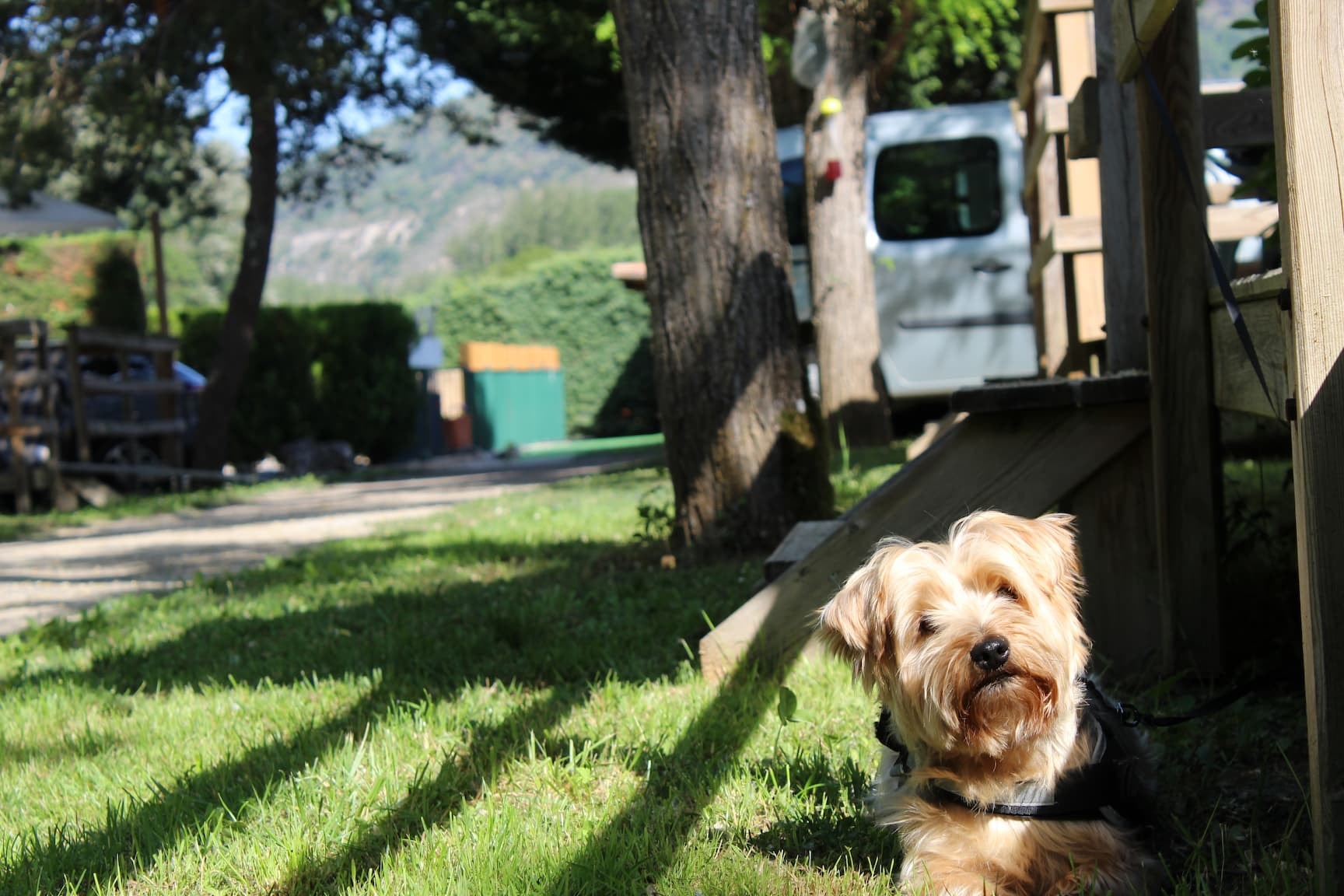 Camping Le Taranis (anciennement La Resclauze) — Photo 6