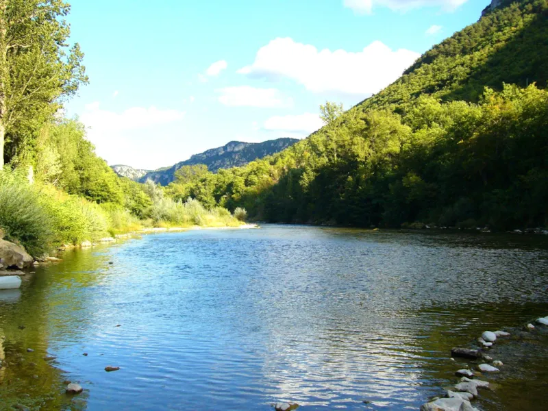 Forfait Bord De Rivière 1 Tente/Caravane + 1 Voiture + Électricité Ou Camping-Car + Électricité