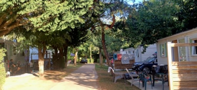 Mobile home Confort 21m² - 2 bedrooms (Sunday)