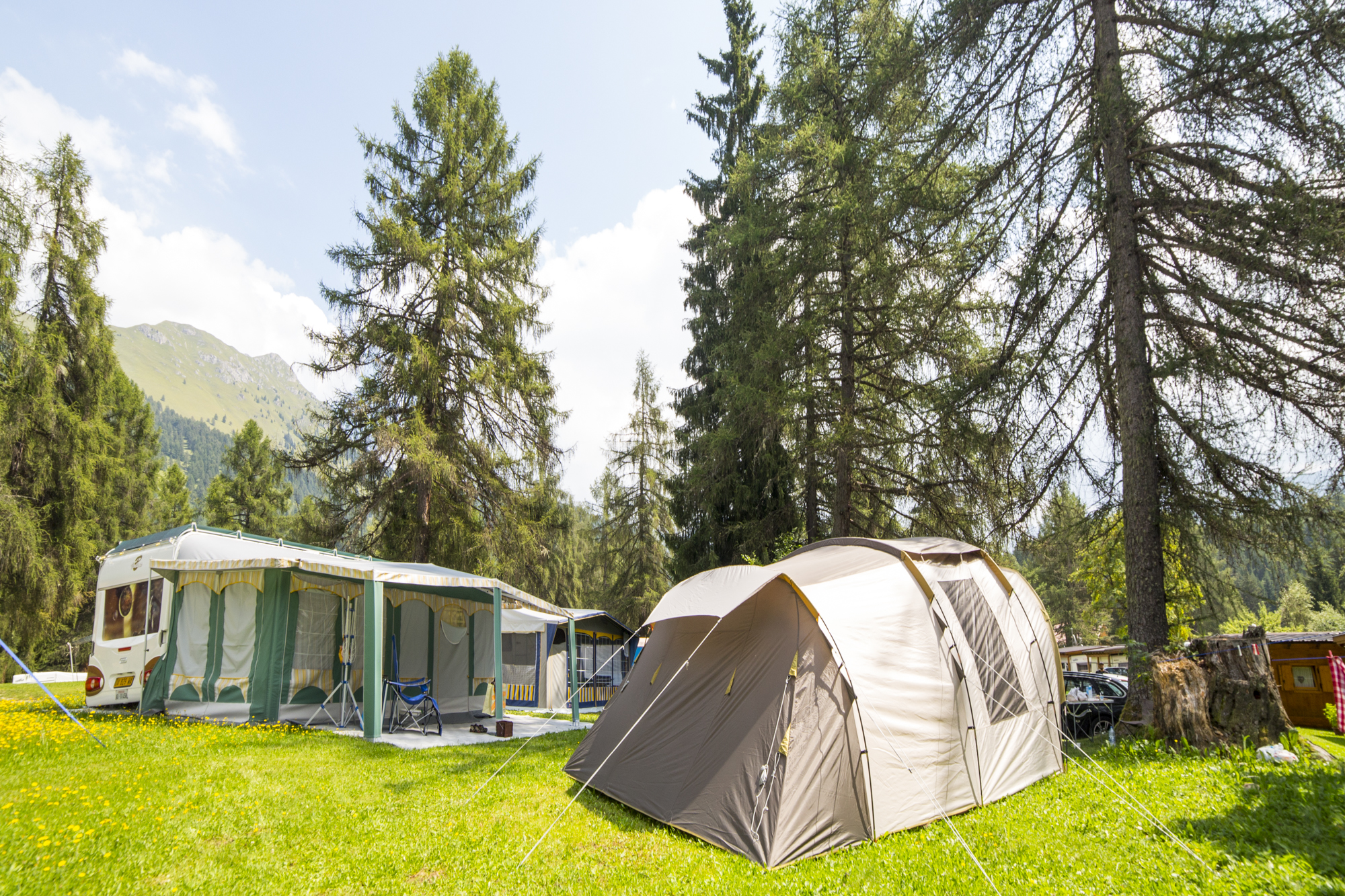 Emplacement - Arnica - Camping & Resort Fiemme Village