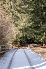 Foto #4 van Club del Sole – Val di Fiemme Easy Camping Village