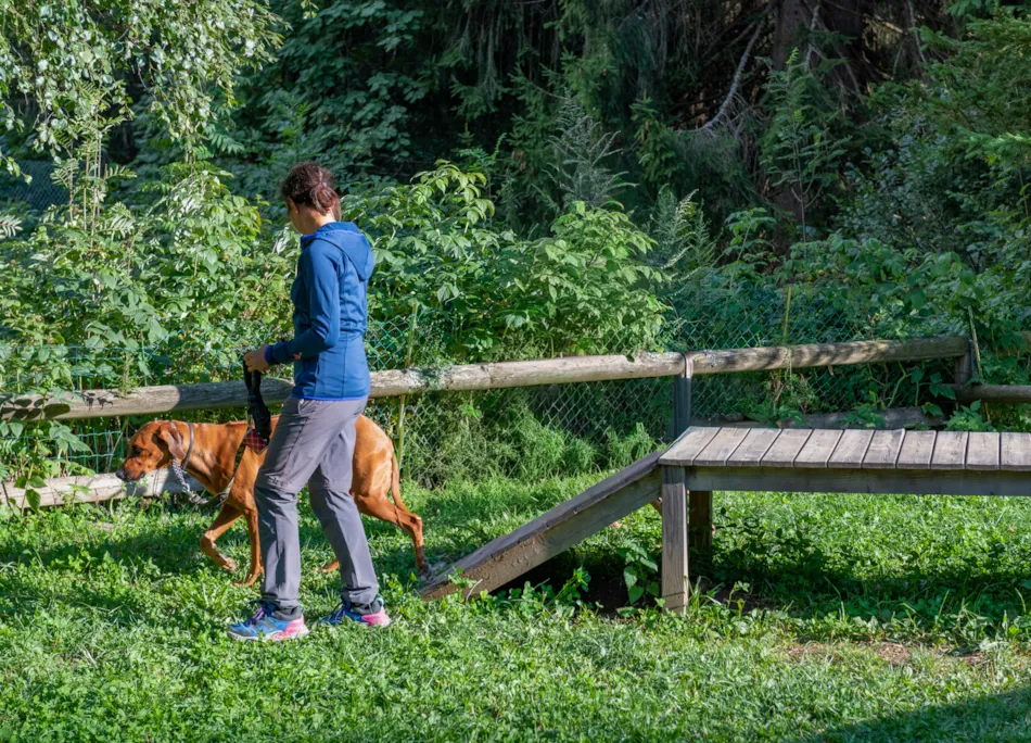 Club del Sole - Val di Fiemme Easy Camping Village