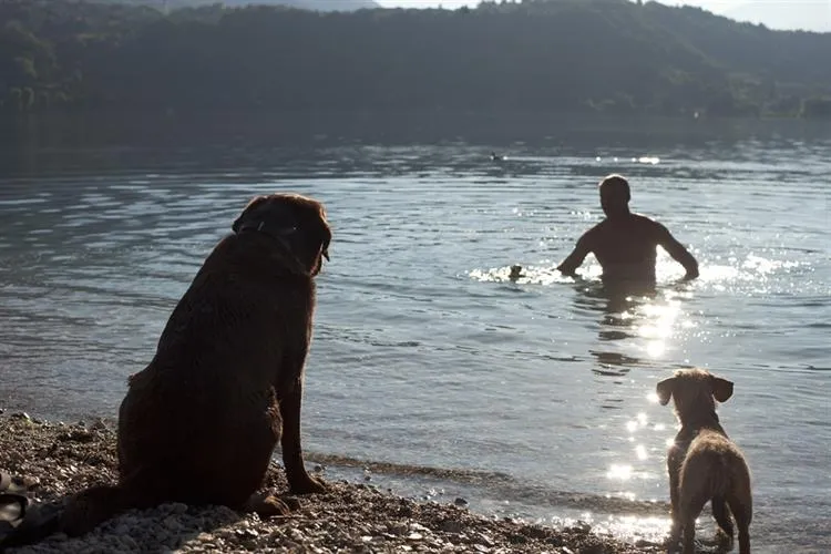 Camping Penisola Verde - image n°13 - UniversalBooking