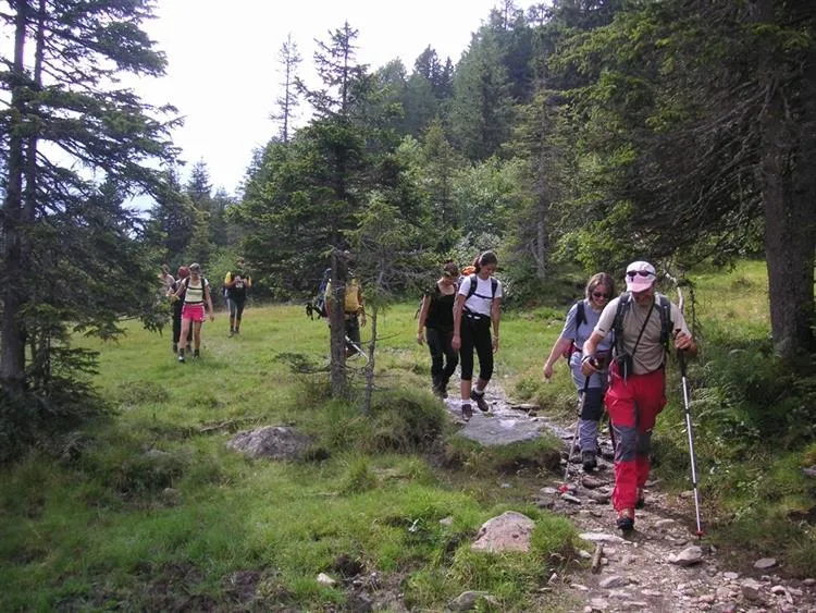 Camping Penisola Verde